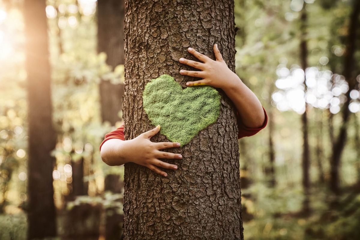 person hugging a tree